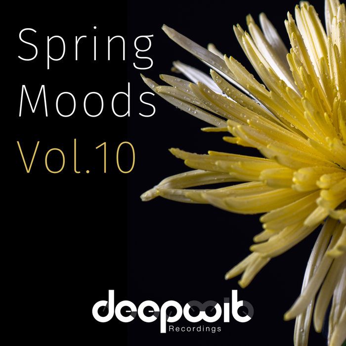 VA - Spring Moods Vol 10 [DWRS023]